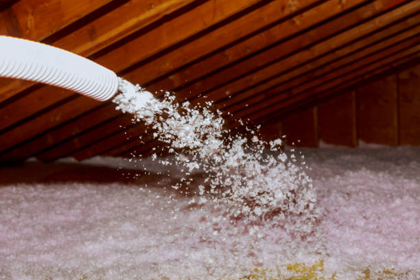 Best Specialized Insulation Services in Fremont, MI