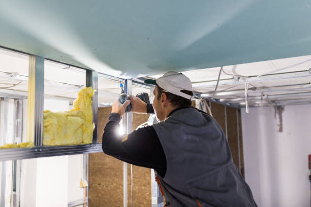 Best Residential Insulation in Fremont, MI