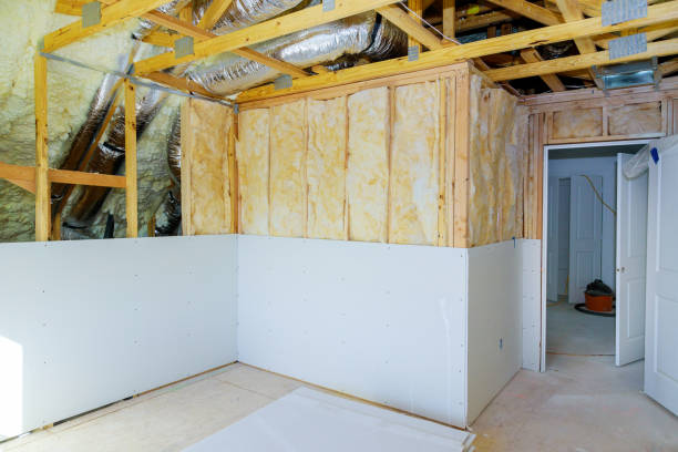 Best Eco-Friendly Insulation in Fremont, MI
