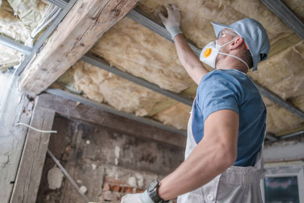 Best Geographic-Specific Insulation Services in Fremont, MI